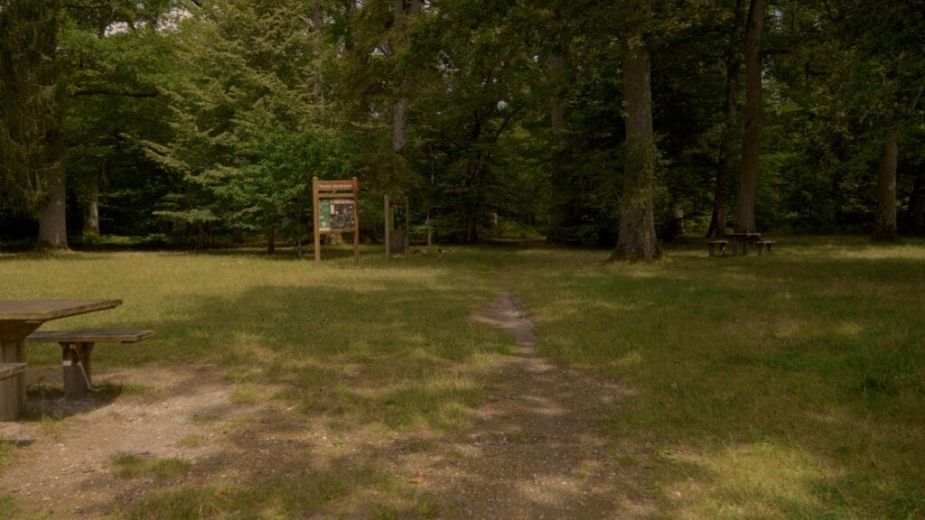 Carrefour de la Resistance à Lorris, Loiret - Forêt d'Orléans