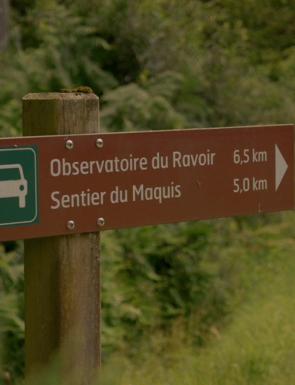 Carrefour de la Resistance à Lorris, Loiret - Forêt d'Orléans