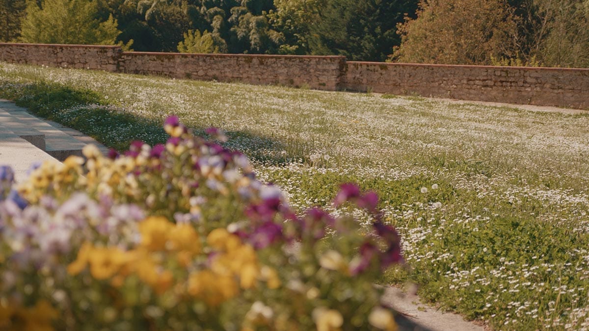 Ville de Ferrières en Gâtinais
